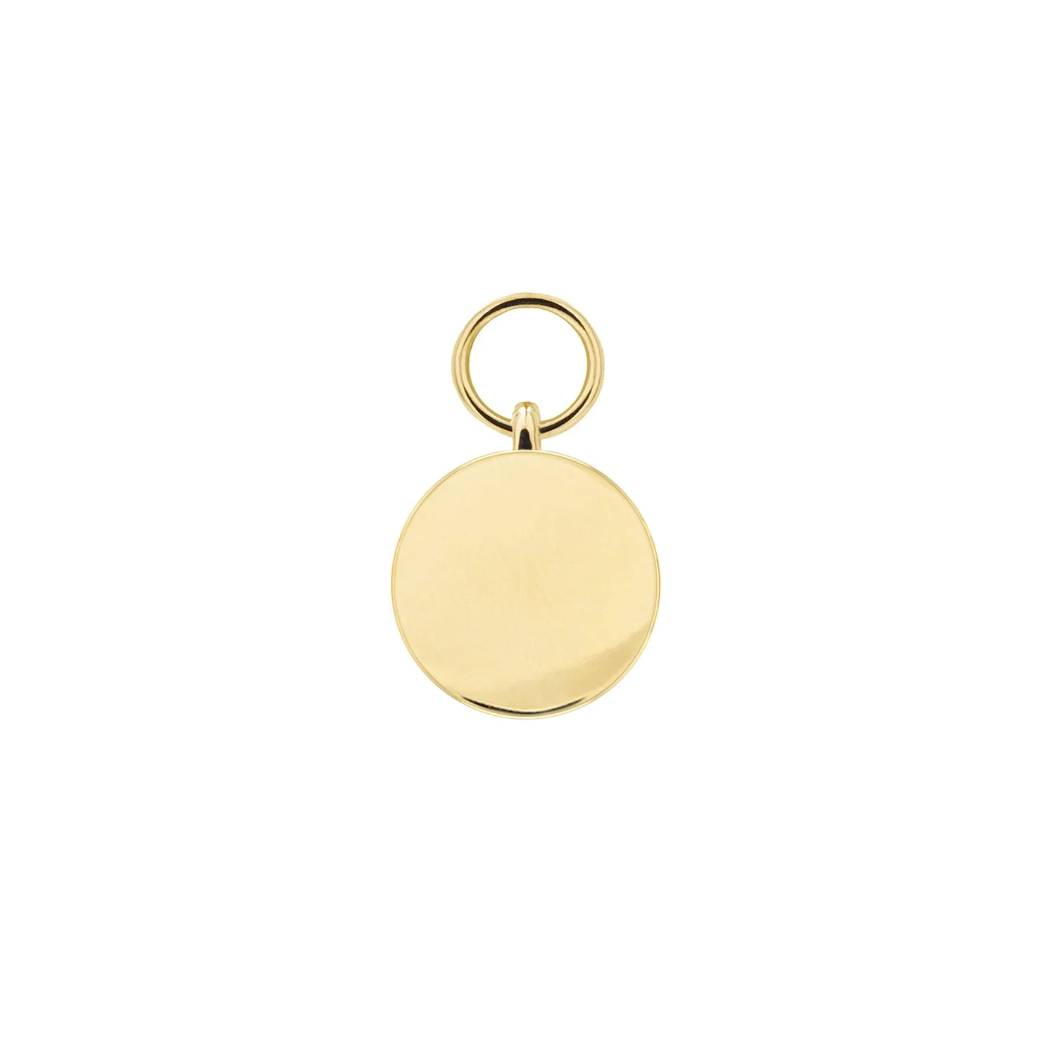 Linked for Life Disc Charm